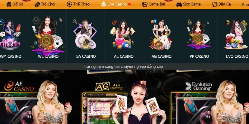 Hướng dẫn các bước đăng nhập Typhu88 chi tiết nhanh chóng.