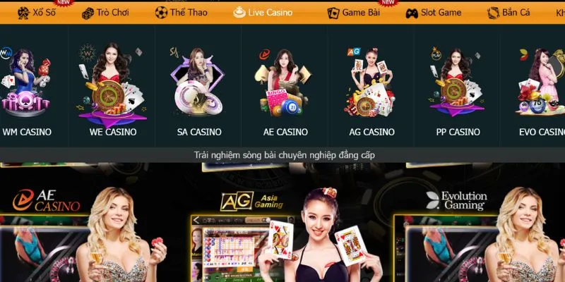 Evo Casino là một sảnh cược có nguồn gốc từ Evolution Gaming.